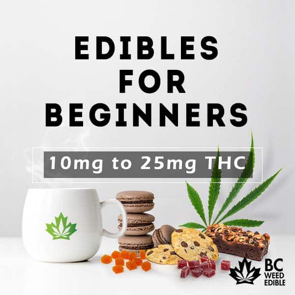 edibles for beginners