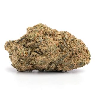 AAA+ MK Ultra (Indica)