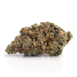 purple haze strain