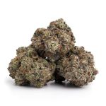 black indica strain buds