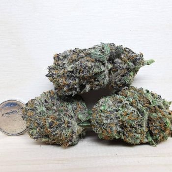 lemon sour diesel sativa strain