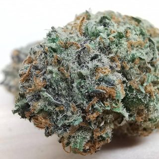 lemon sour diesel sativa weed