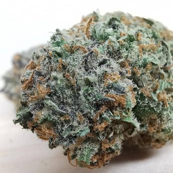 lemon sour diesel sativa weed