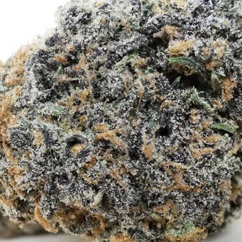 purple space cookies aaaa