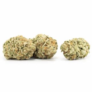 skywalker strain buds